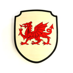 Children's Welsh Dragon wooden shield front