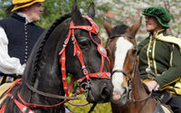An ode to the horse: horses in warfare