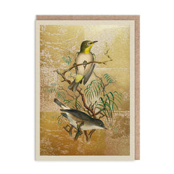 Heuglins White-Eye Birds Greetings Card
