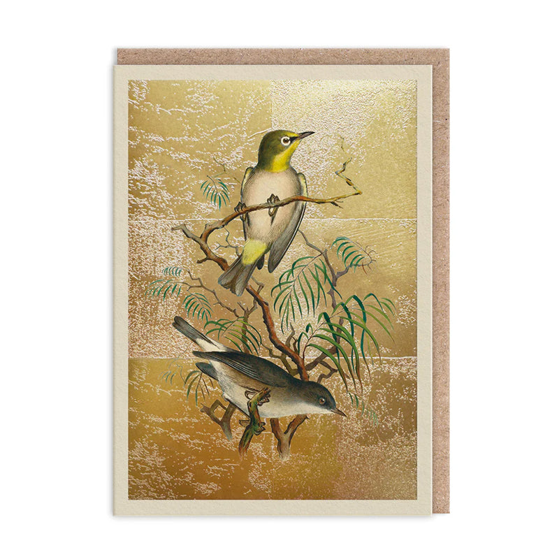 Heuglins White-Eye Birds Greetings Card