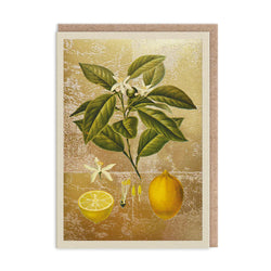 Greetings card with artwork of lemons and leaves on a textured background