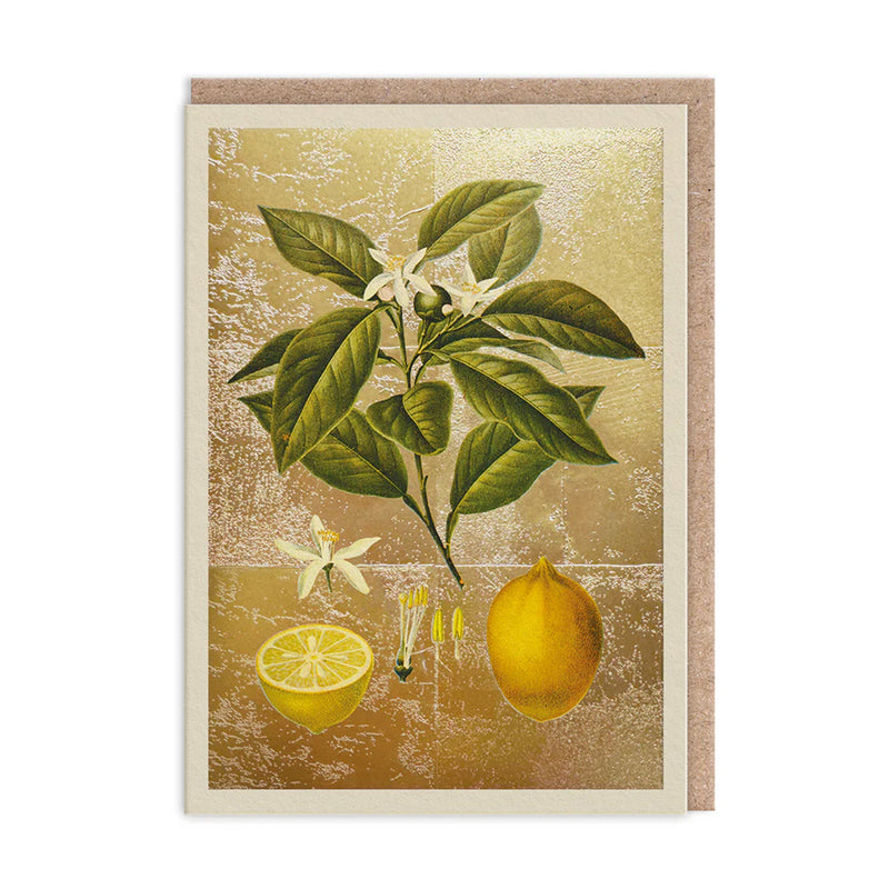 Greetings card with artwork of lemons and leaves on a textured background