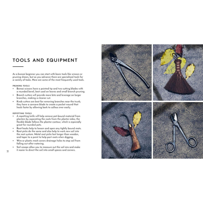 the little book of bonsai tools and equipment