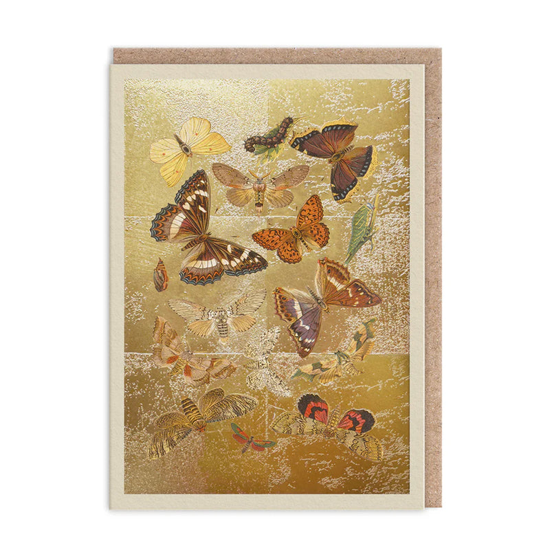 Lepidoptera Butterflies Greeting Card