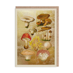 Illustration of various mushrooms on a textured beige background