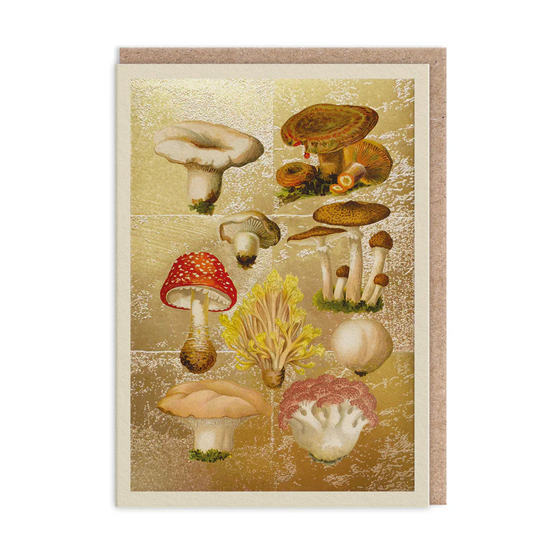 Illustration of various mushrooms on a textured beige background