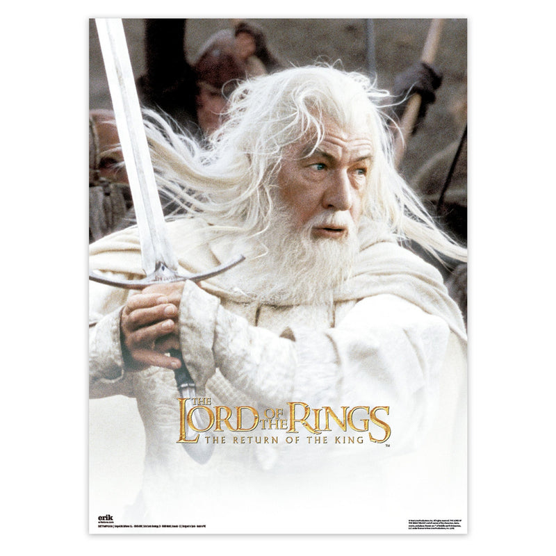 lord of the rings posters packaging gandalf