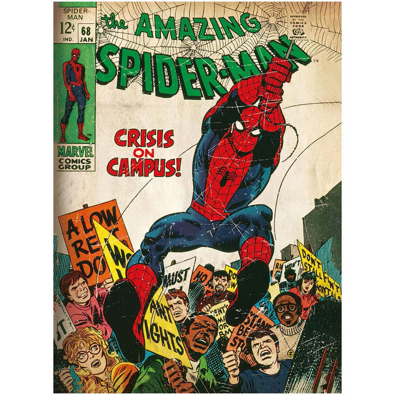 Spiderman and Hulk Comic Book Cover Poster Set - Marvel