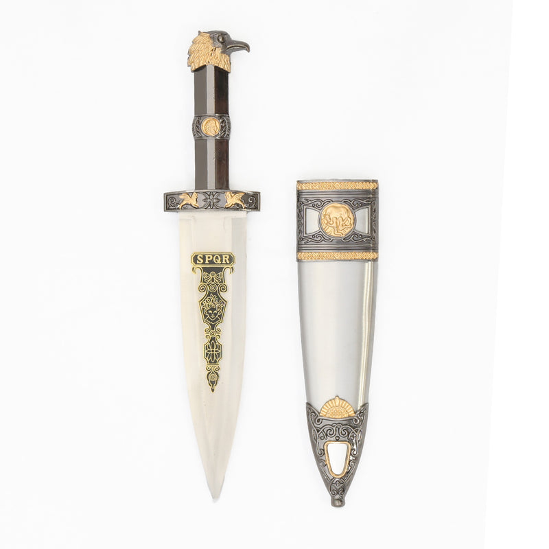 spqr dagger next to sheath