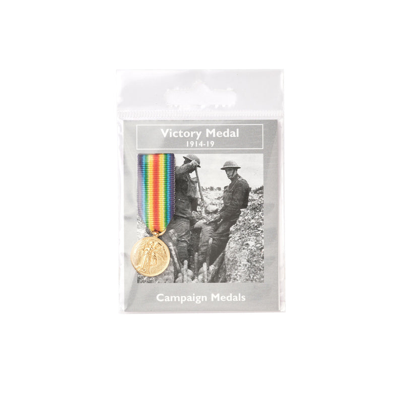 Military victory medal replica in packaging